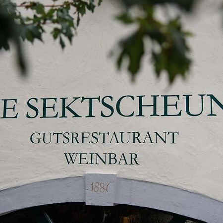 Weingut Und Gaestehaus Zilliken Нител Екстериор снимка