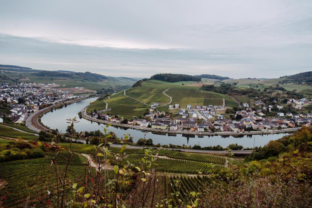 Weingut Und Gaestehaus Zilliken Нител Екстериор снимка